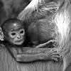 8__sakthi_fhotographer_2_thumb