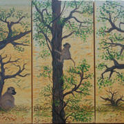Baboon_low_card