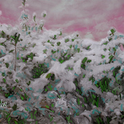 Snow_on_bush_card