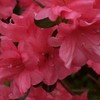 100_0857_thumb
