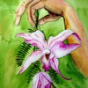 Untitled-1laelia_automnalis_thumb