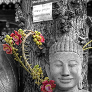 Dj_buddha_and_his_floral_mike_card