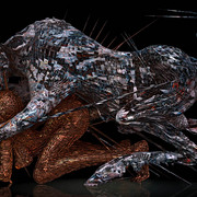 Figur_58_final_2_card