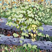 Frontyard_card