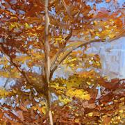 Fall_trees_card