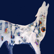 Wolf_card
