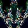 Wings2_thumb