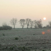 Frosted-morning-rebecca-fin_card