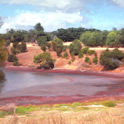 Bush_lake_hills_card