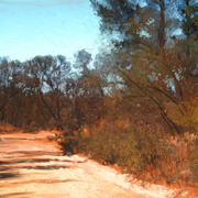 Dirt_road_card