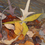 Leaves_on_log_card