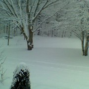 1218091407a_card