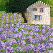 Lavenderfarm2_card