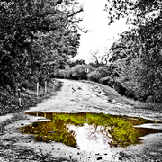 Alum_rock_water_puddle_black_card