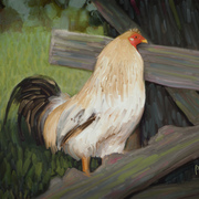 Rooster-sm_card