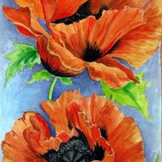 Poppies_card