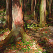 Forest_trees_card