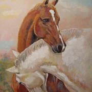 Img_4768_222_card