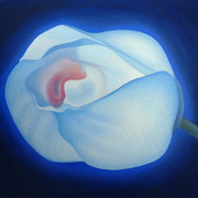 Blue_rose_card