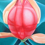 Magnolia_lightbound_card