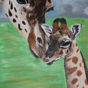 Img_6850_card
