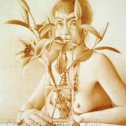 Lilies_artbreak_card