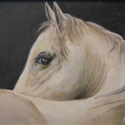 Img_4771_card