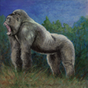 Gorilla-adam-small_thumb
