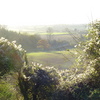 Dsc05329_thumb