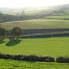 Dsc05335_thumb
