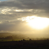 Dsc05600_thumb