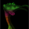 Music_of_my_life_thumb
