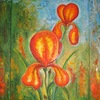 Iris_thumb
