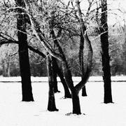 Colors_of_winter_card