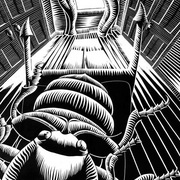 Bug_card