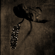 Spent_card