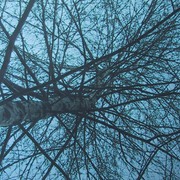 Phmaart10_001_card