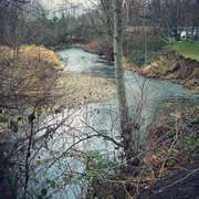 Creekdisplay_card