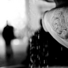 Fontana_ed_ombre_thumb