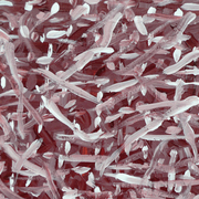 Painting-4_card