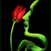 Nice_at_night_thumb