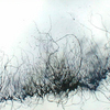 Unknown-surroundings_thumb
