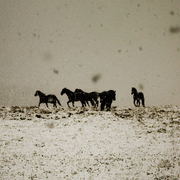 Img_7186_card