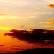 Imgp0649_card