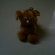 Imag0044_card