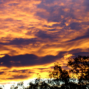 Halloween_sunrise_-_2009_card