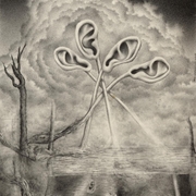 Hearing_light_by_divee_card