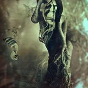 Roots-insidethebrokenmirror_card