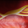 Yellowriver_thumb