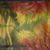Yellowtored_tiny_square